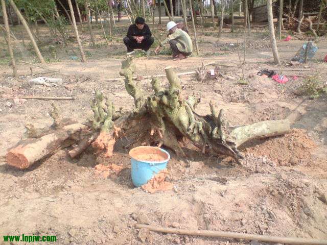 125422jgcatjotfa6o1mol.jpg.thumb.jpg