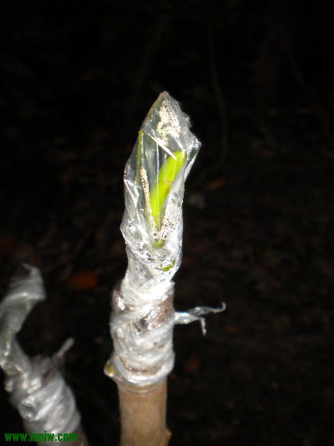 DSCN9973.JPG