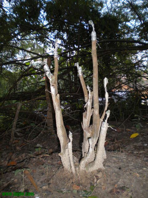 DSCN9974.JPG