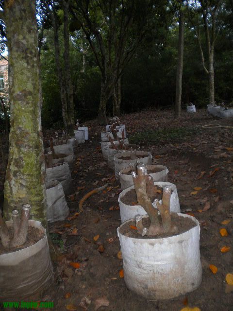 DSCN9977.JPG