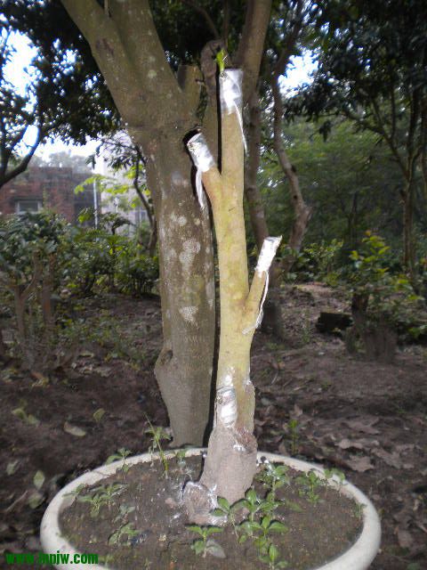 DSCN9979.JPG