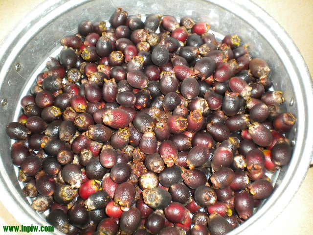 DSCN0048.JPG