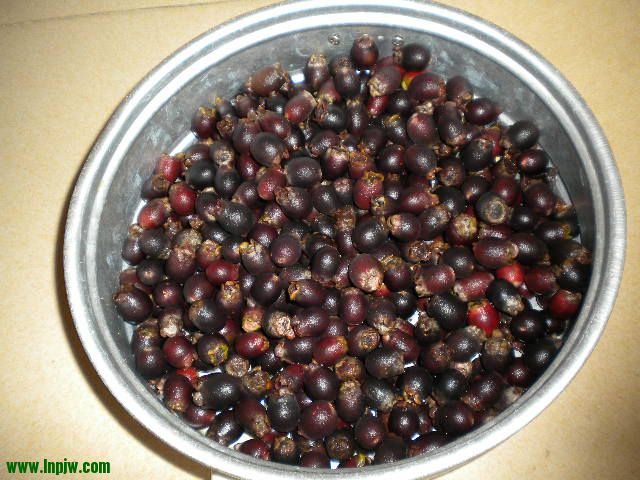 DSCN0052.JPG