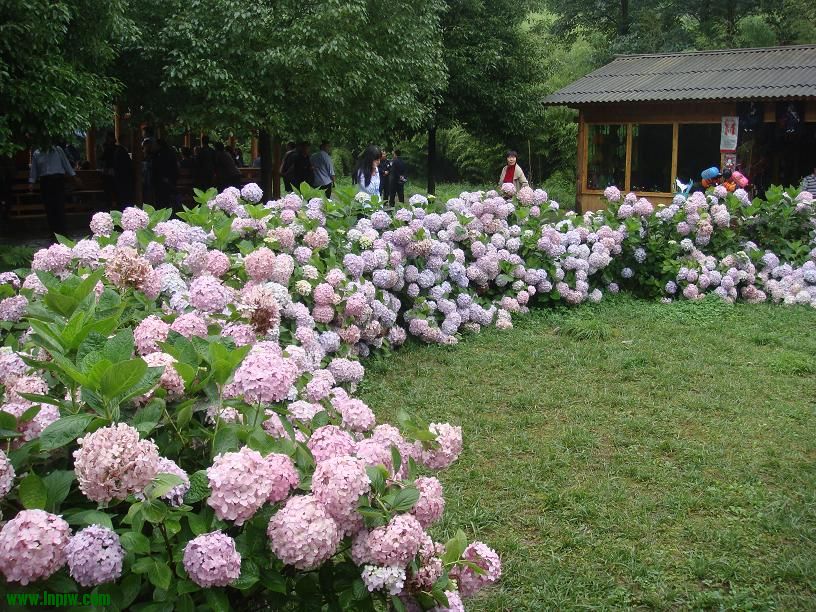 DSC02483.JPG