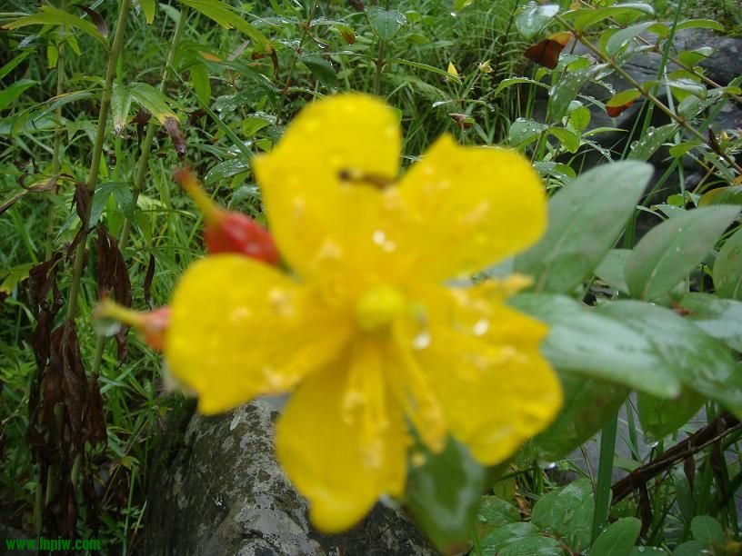 DSC02472.JPG