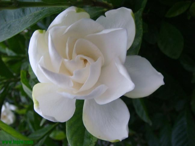 DSC02214.JPG