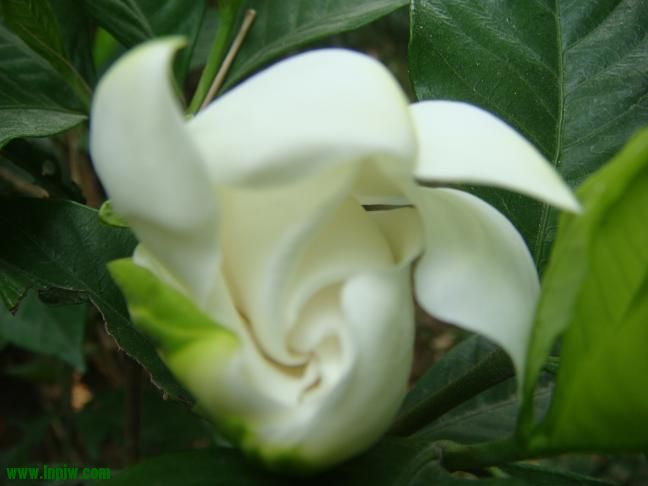DSC02232.JPG