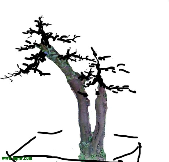 140323x766hc2686ihk6if.jpg
