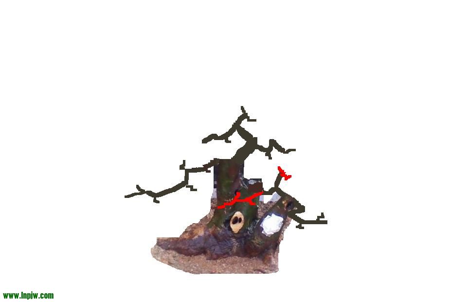 δ.JPG