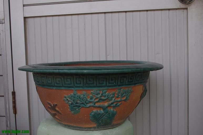 IMGP3835.JPG