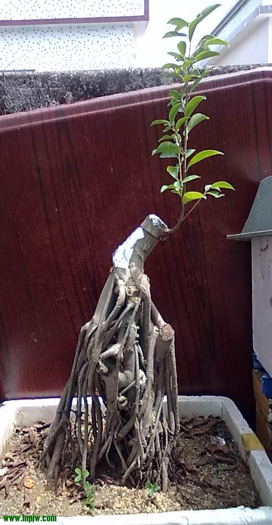 20120817567.jpg