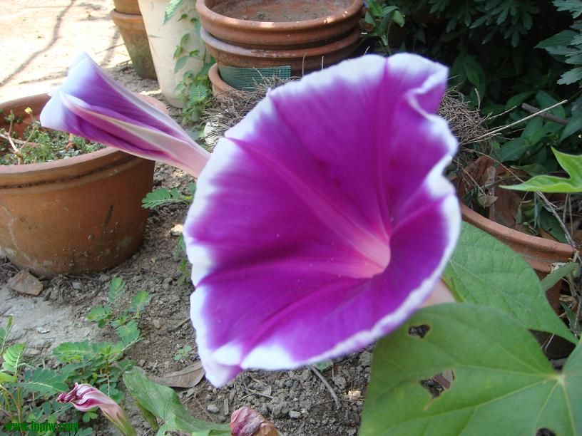 DSC02777.JPG