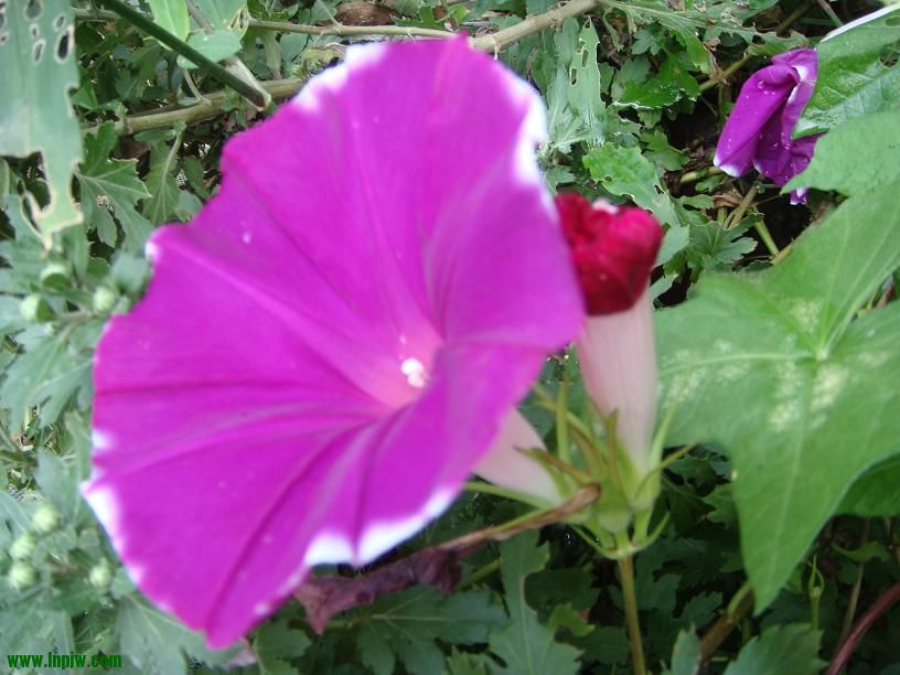 DSC02863.JPG
