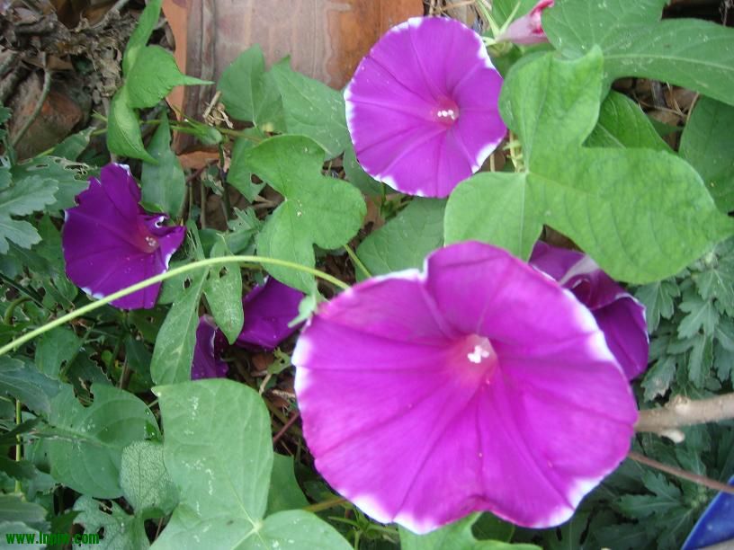 DSC02866.JPG