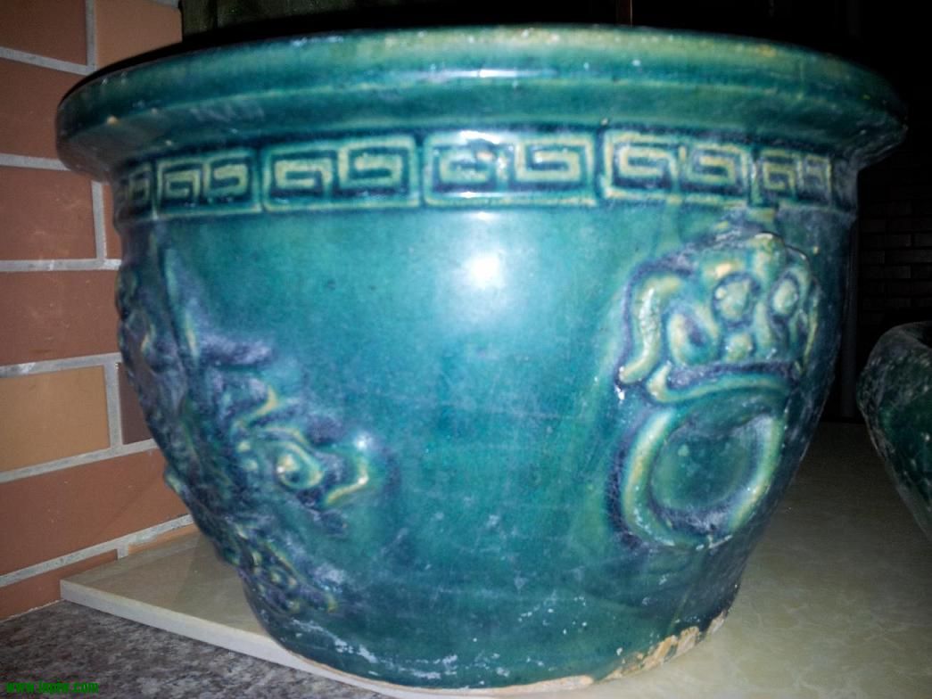 20120821_203600.jpg