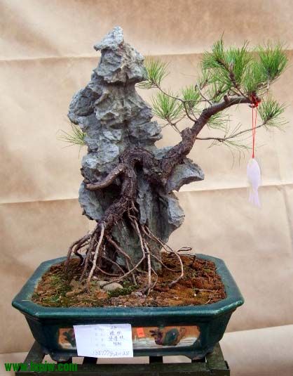 DSCF0514.JPG