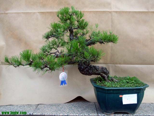 DSCF0540.JPG