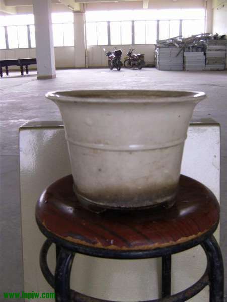 1936082050l2m8mal2seeg.jpg