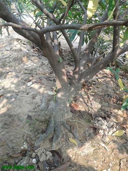 2012-10-09-15.12.45.jpg