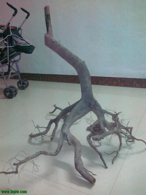 20121210161-001.jpg