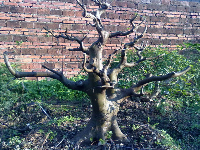 20101220.jpg