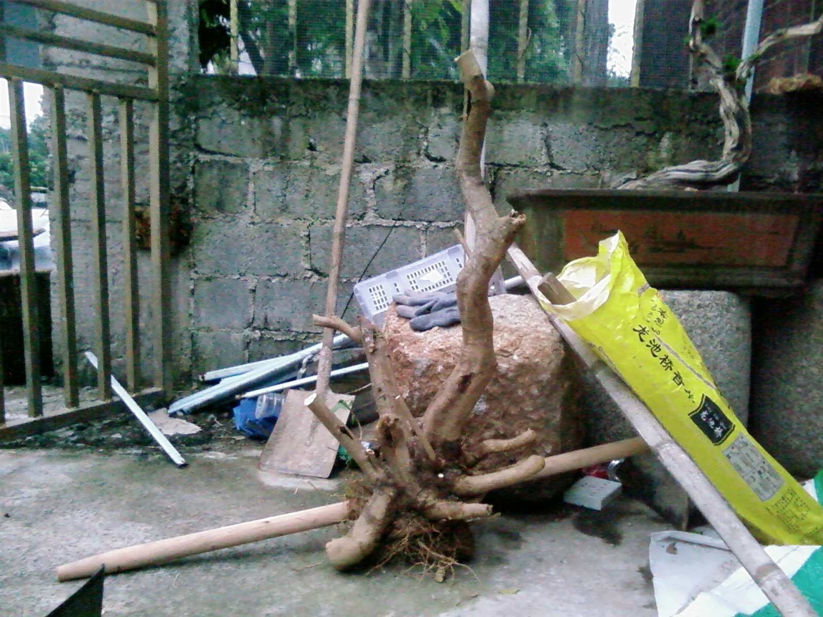 20121211(011).JPG
