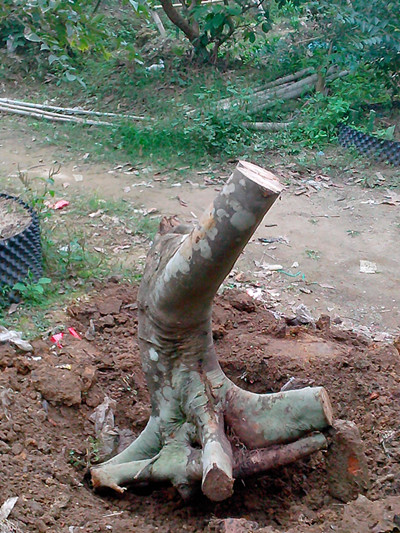 IMG20121211038_.jpg
