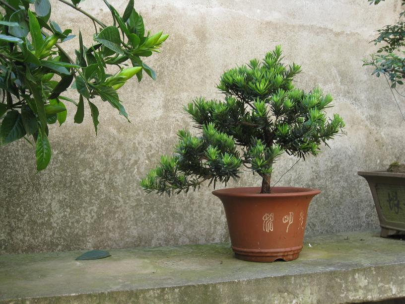 Ƭ 009.JPG