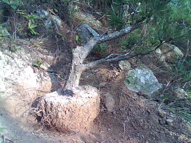 DSC_0000049.jpg