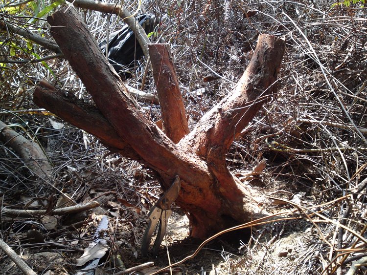 20130111179.JPG