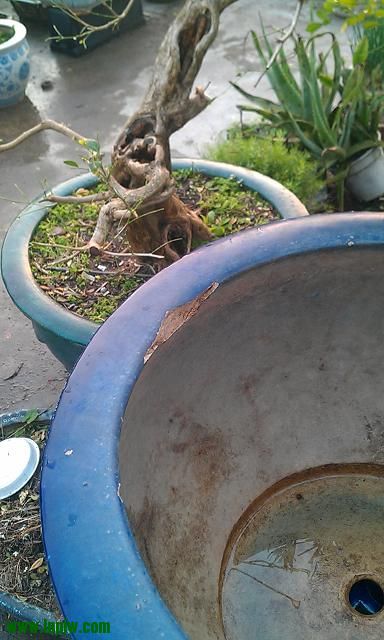IMAG0563.jpg