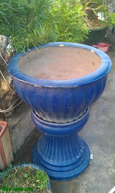 IMAG0565.jpg
