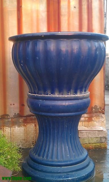 IMAG0567.jpg
