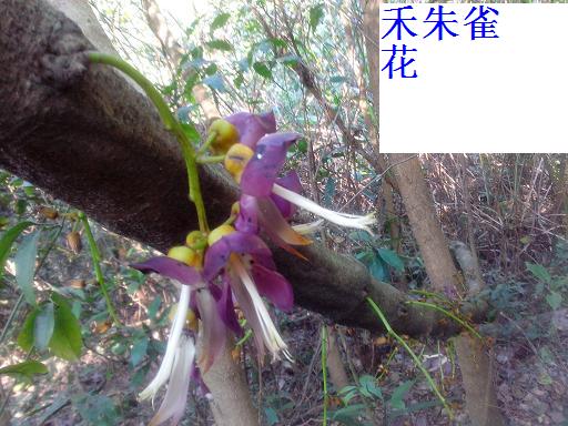 IMG_20130306_101959.jpg