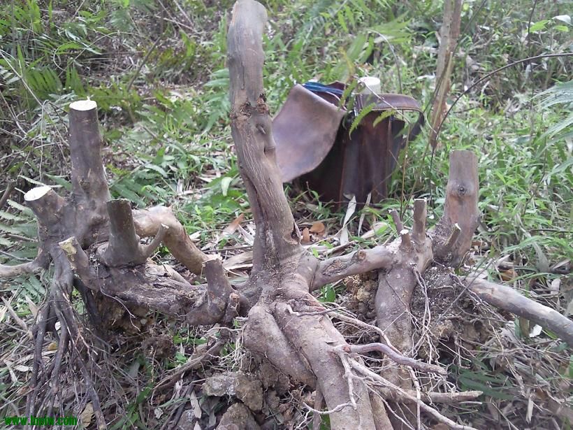 Ƭ0701.jpg