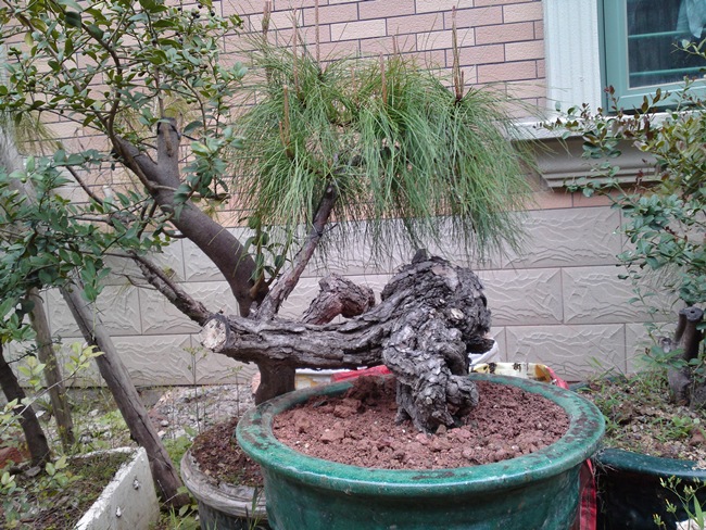 20130302335.JPG