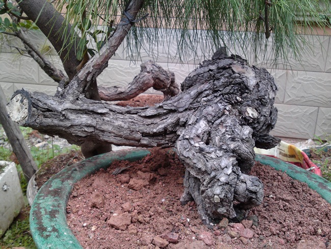 20130302337.JPG