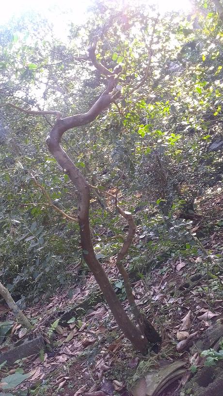 IMAG0405.jpg