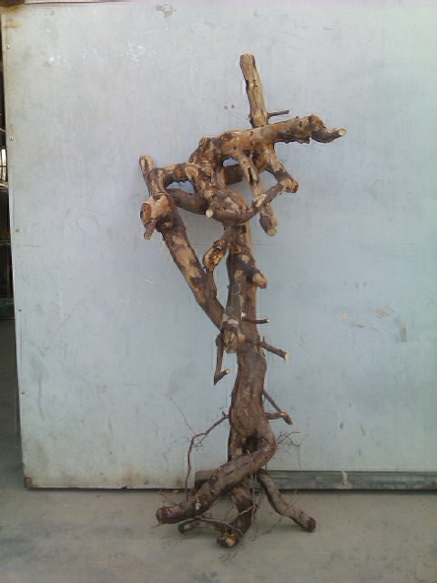 IMAG1088.jpg