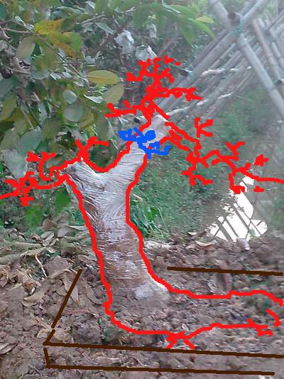 001627ky7c2gffjm6wjmw7_jpg_thumb.jpg