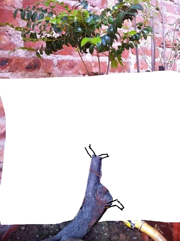 132316urprcy8tyq2vvjjy_jpg_thumb.jpg