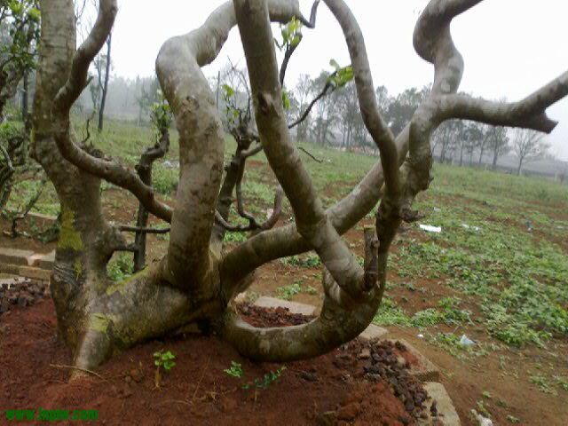 20120220_28.jpg