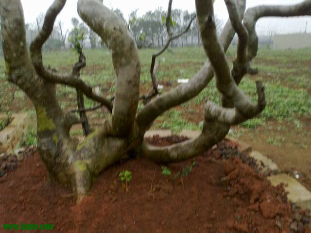 20120220_29.jpg