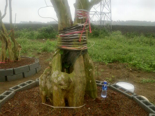 20120409_23.jpg