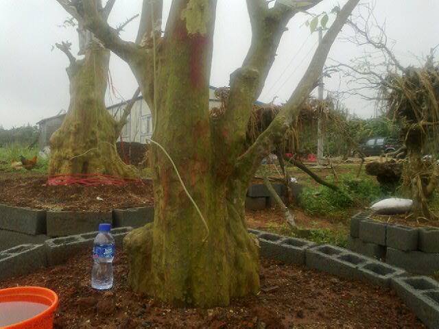20120409_26.jpg
