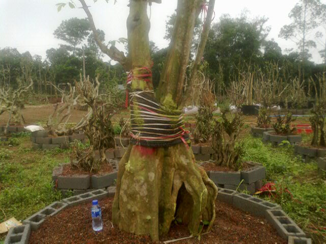 20120409_20.jpg