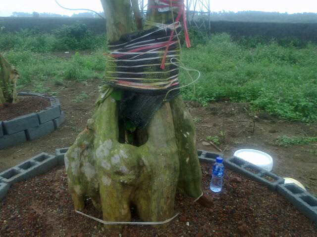 20120409_22.jpg