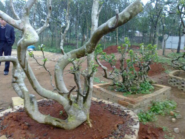 20120220_33.jpg