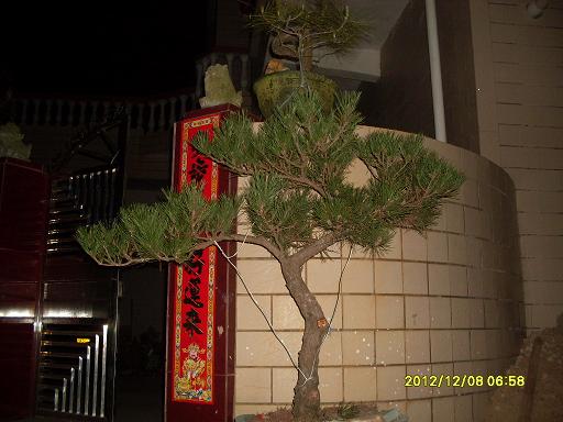 SDC10250.JPG