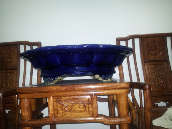 20121204_195008.jpg